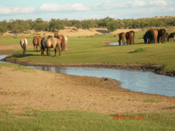 culture_tour_photo_mongolia (16)